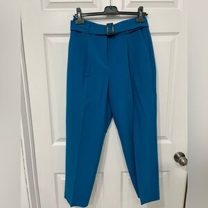 Ann Taylor Vibrant Blue Women's Trousers